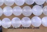 CTG1581 15.5 inches 4mm round white moonstone beads wholesale