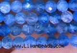 CTG1613 15.5 inches 3mm faceted round tiny apatite beads