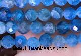 CTG1614 15.5 inches 3.5mm faceted round tiny apatite beads