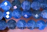 CTG1616 15.5 inches 5mm faceted round tiny apatite beads