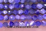 CTG1665 15.5 inches 2mm faceted round tiny sodalite beads