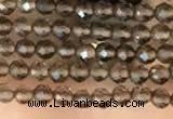 CTG2124 15 inches 2mm,3mm faceted round smoky quartz gemstone beads