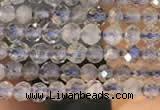 CTG2133 15 inches 2mm,3mm faceted round labradorite gemstone beads