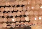 CTG2138 15 inches 2mm,3mm faceted round sunstone gemstone beads