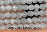 CTG2145 15 inches 2mm,3mm faceted round aquamarine gemstone beads