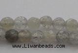 CTG217 15.5 inches 3mm faceted round tiny labradorite beads