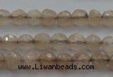 CTG218 15.5 inches 3mm faceted round tiny moonstone beads