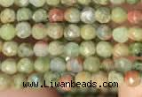 CTG2214 15 inches 2mm,3mm faceted round unakite gemstone beads