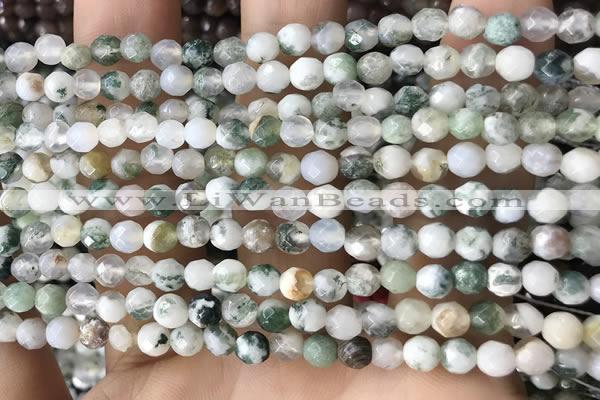 CTG2532 15.5 inches 4mm faceted round tree agate beads