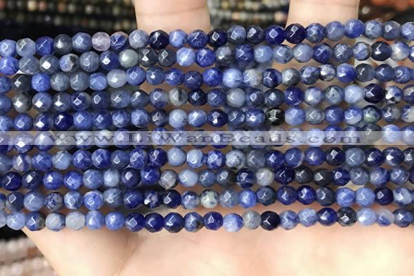 CTG3573 15.5 inches 4mm faceted round sodalite beads wholesale