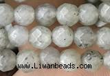 CTG3585 15.5 inches 4mm faceted round labradorite beads