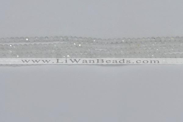 CTG604 15.5 inches 3mm faceted round white moonstone beads