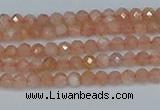 CTG607 15.5 inches 3mm faceted round peach moonstone beads