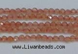 CTG609 15.5 inches 2mm faceted round golden sunstone beads