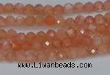 CTG610 15.5 inches 3mm faceted round golden sunstone beads