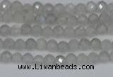 CTG613 15.5 inches 3mm faceted round labradorite beads