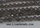 CTG640 15.5 inches 3mm faceted round smoky black obsidian beads