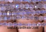 CTG701 15.5 inches 3mm faceted round tiny labradorite beads