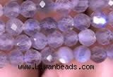 CTG703 15.5 inches 5mm faceted round tiny labradorite beads