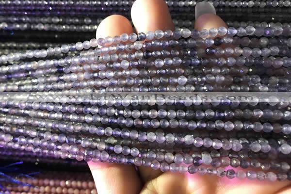 CTG750 15.5 inches 2mm faceted round tiny iolite beads wholesale