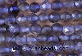 CTG753 15.5 inches 2mm faceted round tiny iolite gemstone beads