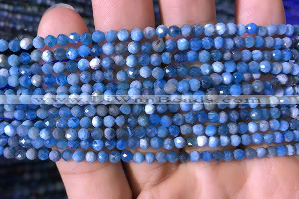 CTG761 15.5 inches 4mm faceted round tiny apatite gemstone beads