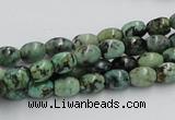 CTU407 15.5 inches 6*7mm rice African turquoise beads wholesale