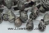 CZJ16 16 inches 8*12mm teardrop zebra jasper gemstone beads wholesale