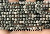 CZJ410 15.5 inches 4mm round green zebra jasper beads wholesale