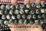 CZJ415 15.5 inches 14mm round green zebra jasper beads wholesale