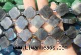 FGBS275 15 inches 18mm four leaf clover labradorite beads wholesale