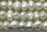 FWP07 14.5 inches 2mm - 3mm potato white freshwater pearl strands