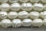 FWP157 14.5 inches 3mm - 4mm rice white freshwater pearl strands