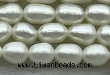 FWP161 14.5 inches 3.5mm - 4mm rice white freshwater pearl strands