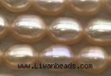 FWP168 14.5 inches 4mm - 5mm rice light purple freshwater pearl strands