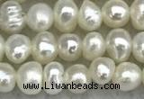 FWP17 14.5 inches 3.2mm - 3.7mm potato white freshwater pearl strands