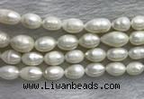 FWP205 15 inches 10mm - 11mm rice white freshwater pearl strands