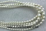 FWP212 15 inches 4mm - 9mm rice white freshwater pearl strands