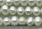 FWP23 14.5 inches 3.2mm - 3.6mm potato white freshwater pearl strands