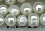 FWP35 14.5 inches 5mm - 6mm potato white freshwater pearl strands