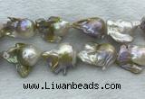 FWP370 15 inches 18mm - 22mm baroque freshwater nucleated pearl beads