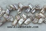 FWP414 Top-drilled 12*16mm - 13*18mm biwa freshwater pearl beads