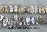 FWP417 15 inches 8*18mm - 10*25mm biwa freshwater pearl beads