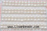 FWP456 half-drilled 6-6.5mm bread freshwater pearl beads