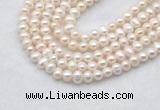 FWP480 14 inches 5mm - 6mm potato white freshwater pearl strands