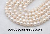 FWP481 14 inches 6mm - 7mm potato white freshwater pearl strands