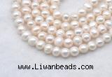 FWP482 14 inches 7mm - 8mm potato white freshwater pearl strands