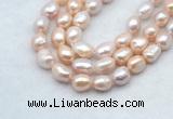 FWP502 14 inches 10mm - 11mm baroque lavender freshwater pearl strands