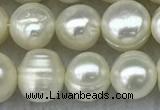 FWP56 15 inches 6mm - 7mm potato white freshwater pearl strands