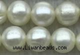 FWP72 15 inches 7mm - 8mm potato white freshwater pearl strands